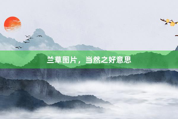 兰草图片，当然之好意思